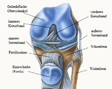 Arthrosen